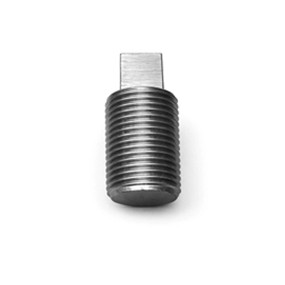 Plug Loading Screw